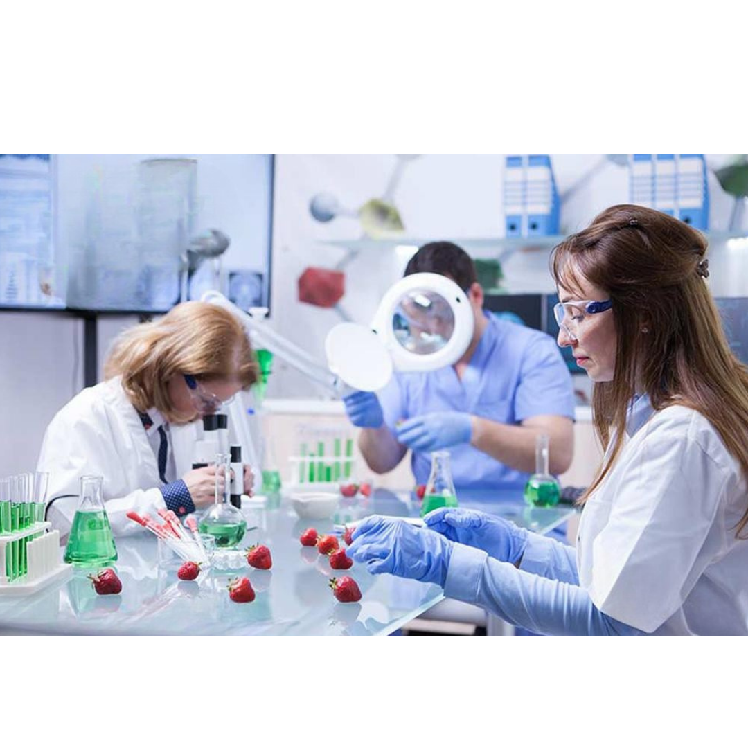 ISO 22000 Gıda Güvenliği Yönetim Sistemi